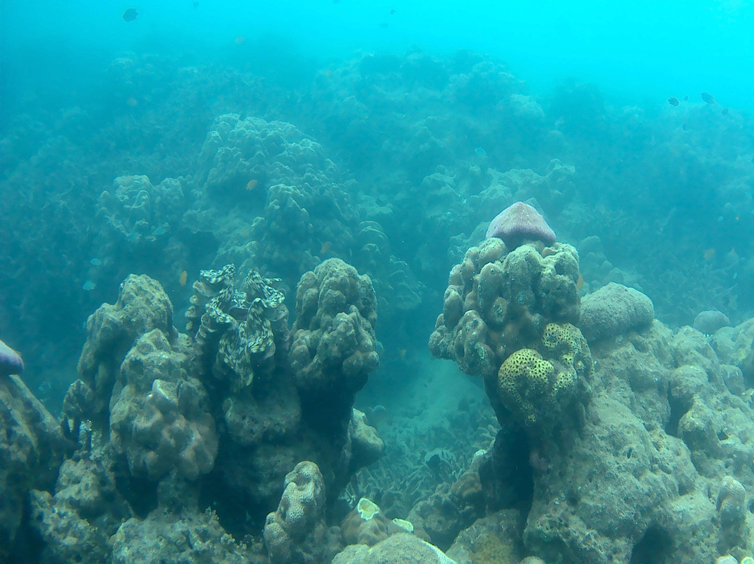 Ross Tours & Travels-布莱尔港必去景点