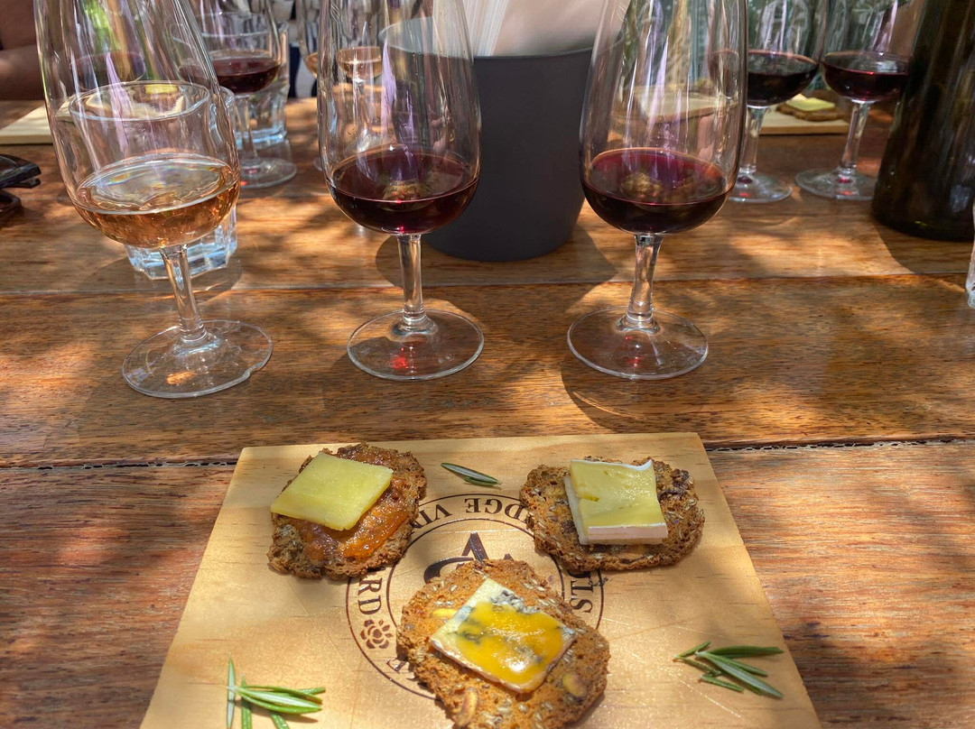 Waiheke Executive Transport