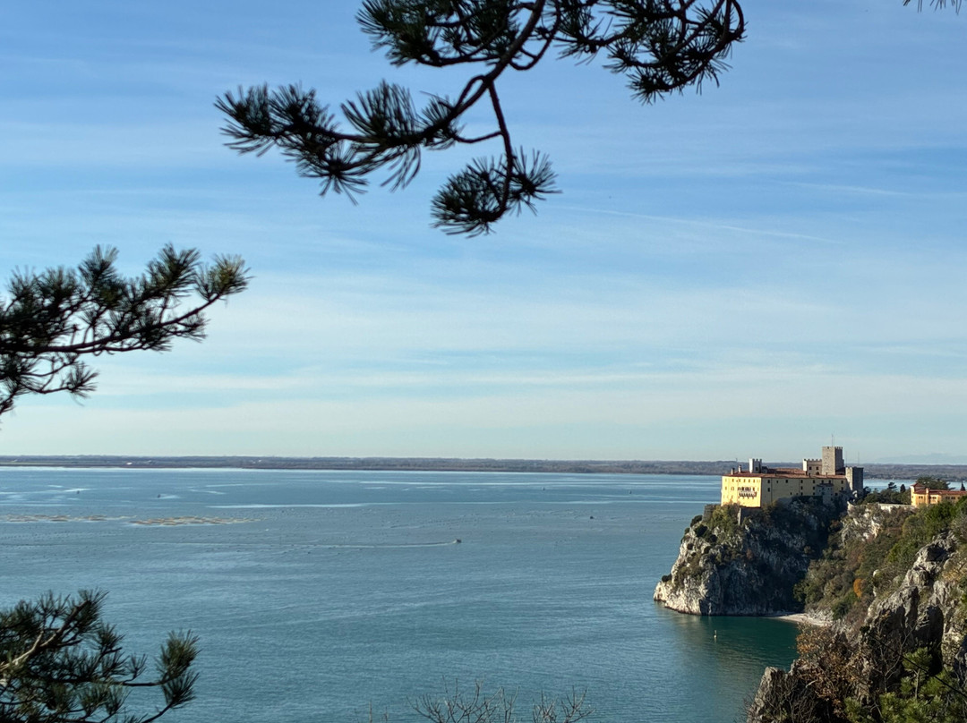 艾爾伯格加尼奧羅拉飯店主图