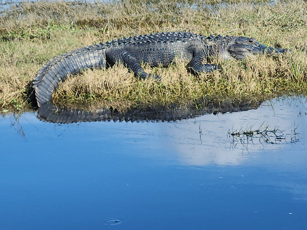 AirBoat Rides at Midway-Christmas必去景点