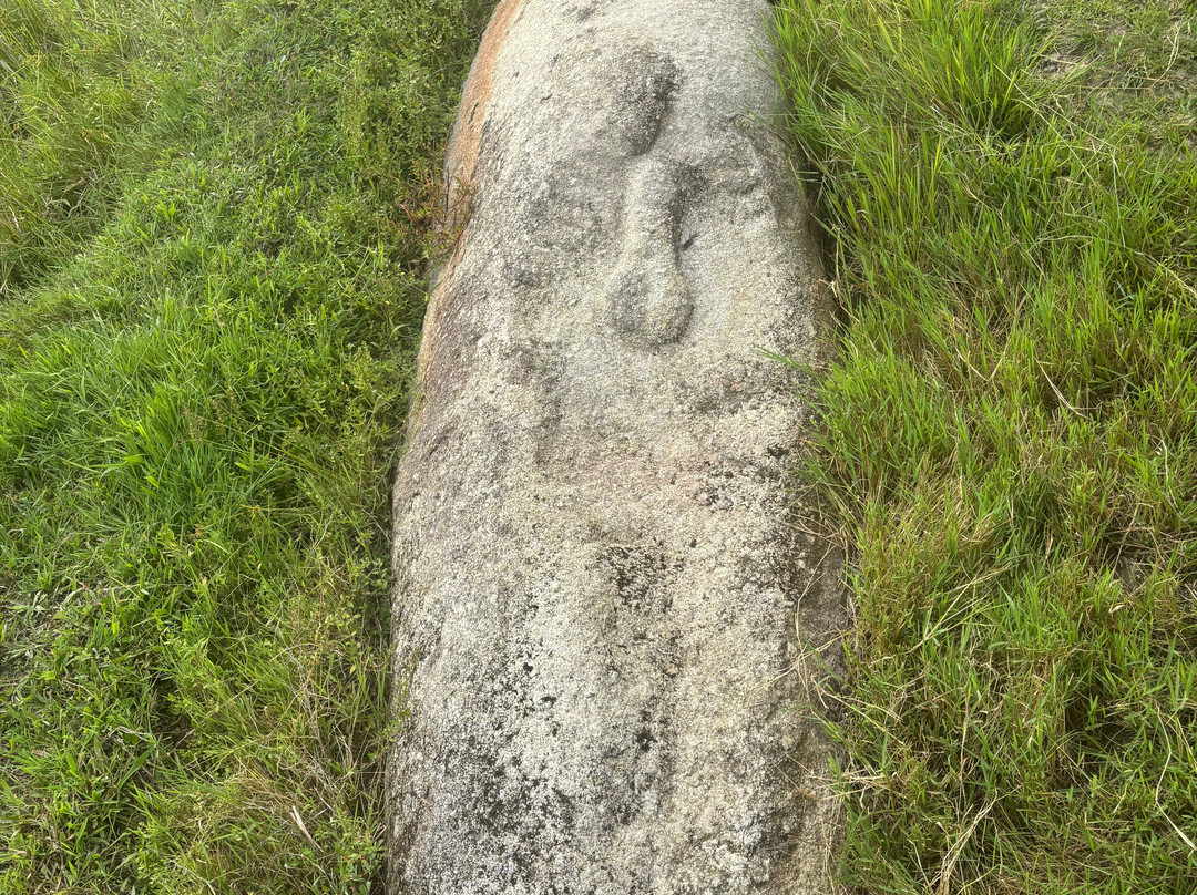 Tentena wildlife tour and Lorelindu national park-Tentena必去景点