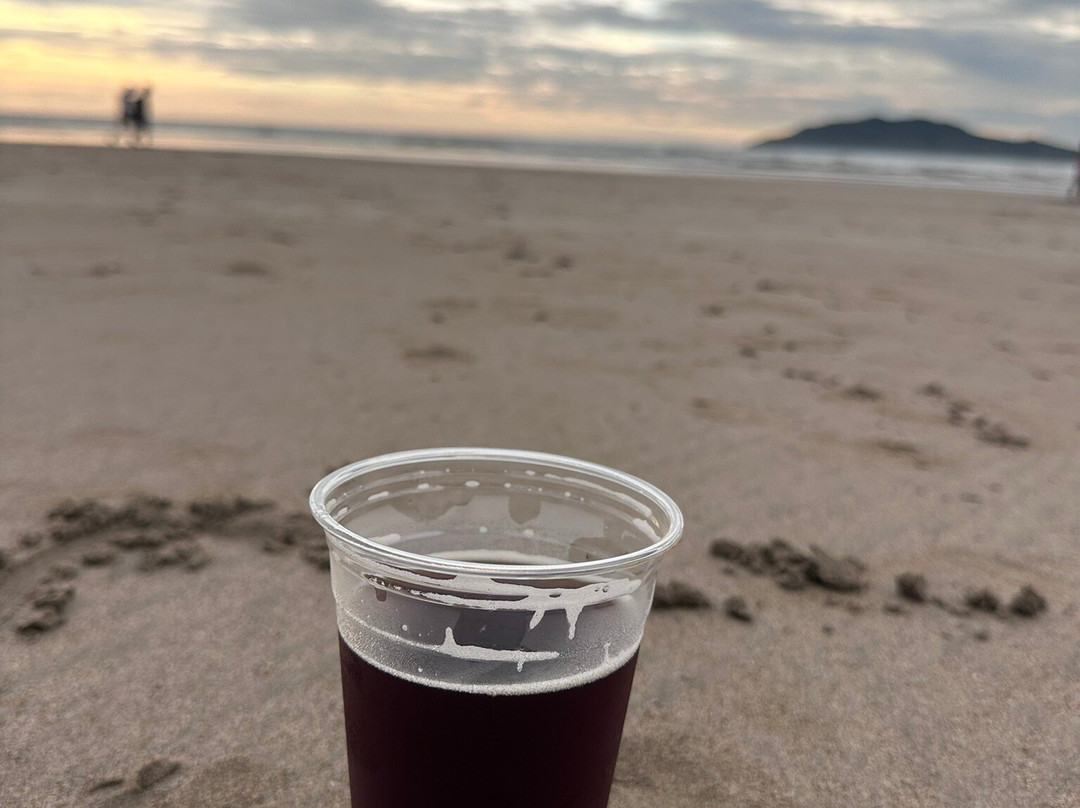 Volcano Brewing Company-塔马林多必去景点