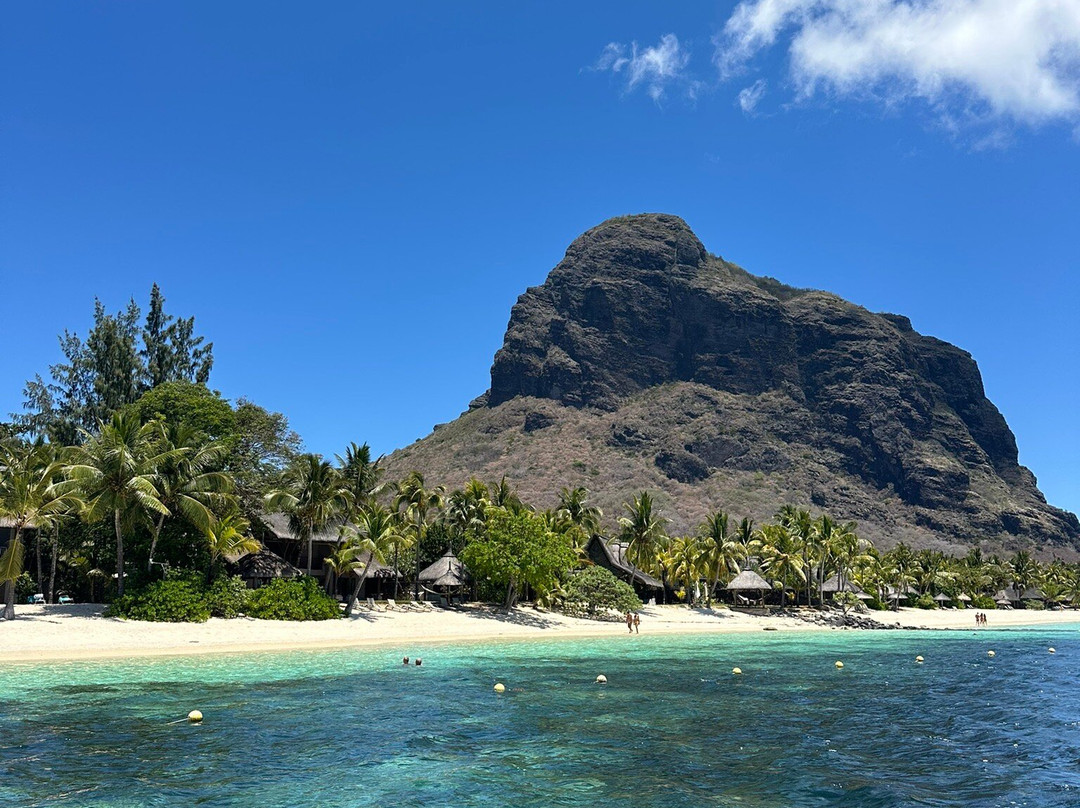 Dream Dolphin-黑河必去景点