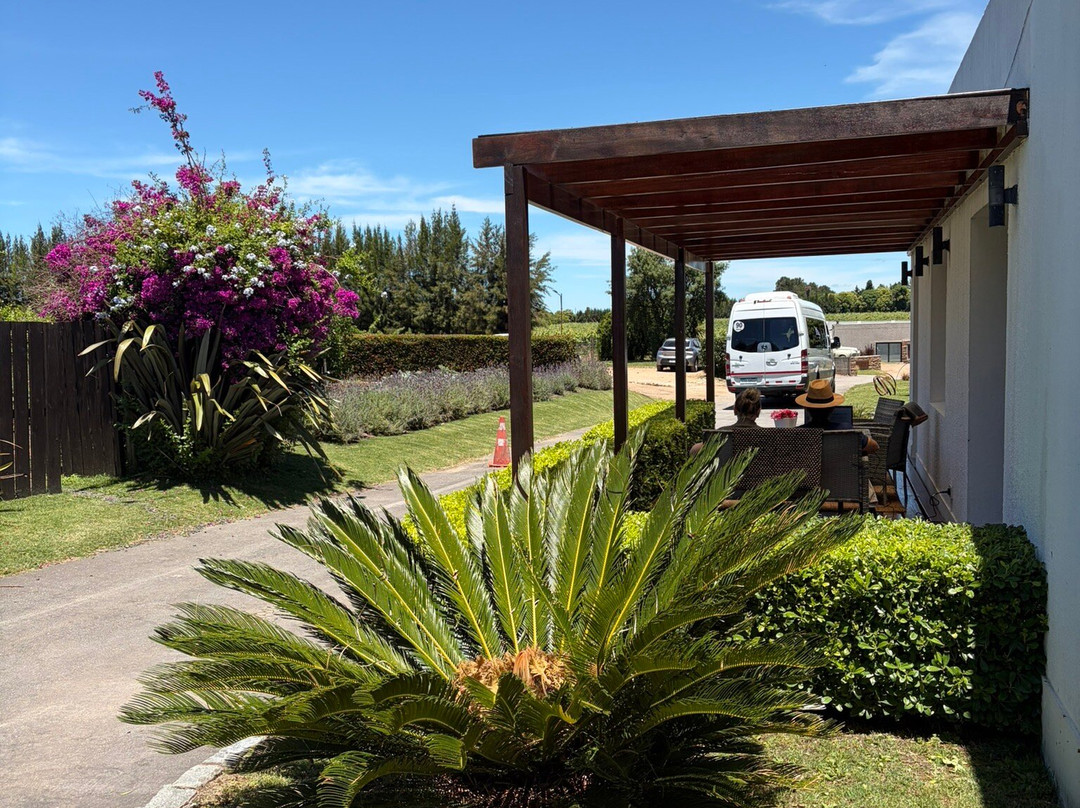 Pizzorno Family Estates-Canelones必去景点