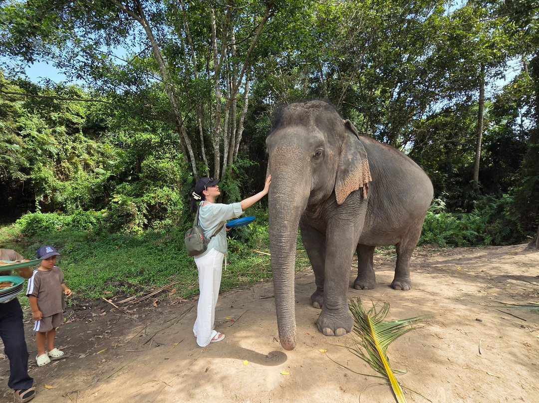 I Love Elephant Samui-Na Mueang必去景点