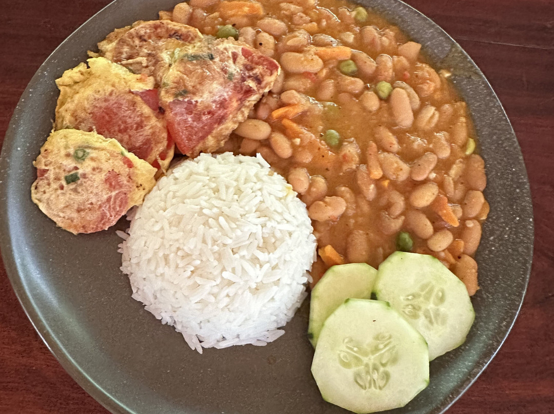 Psychonauta Foundation-伊基托斯必去景点