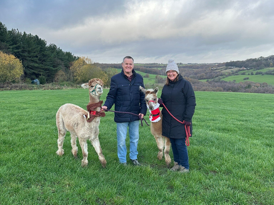 Posey Paca's-布拉德福必去景点