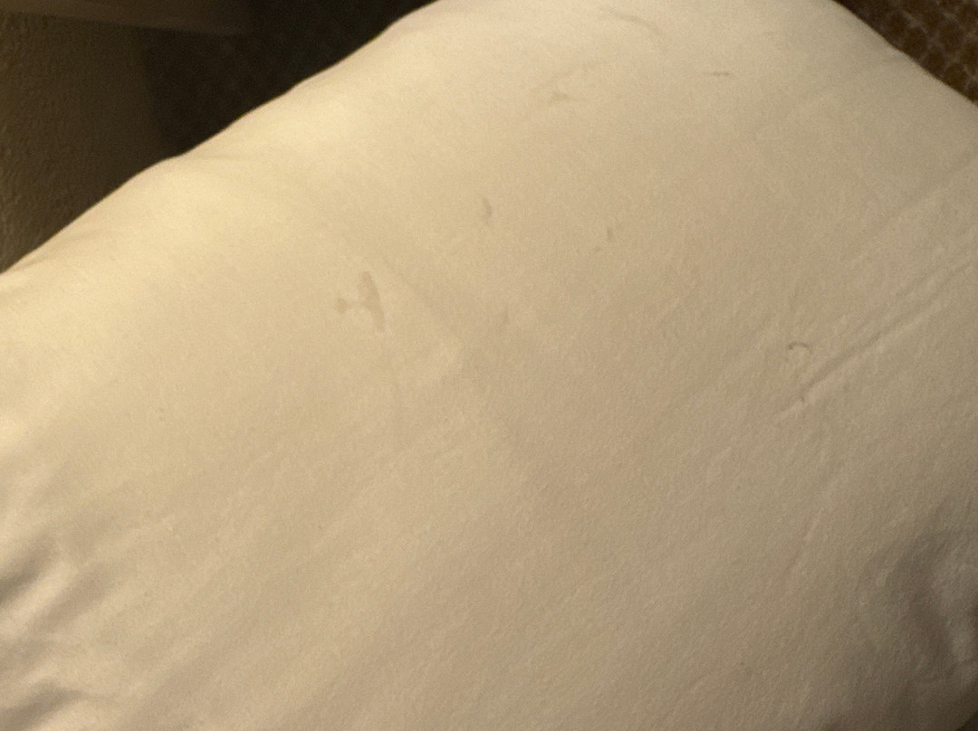 Best Western Plus Plaza Florida & Tower主图