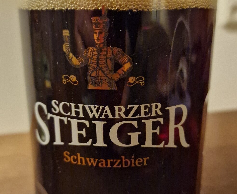 德勒斯顿艾尔贝弗伦萨酒店主图