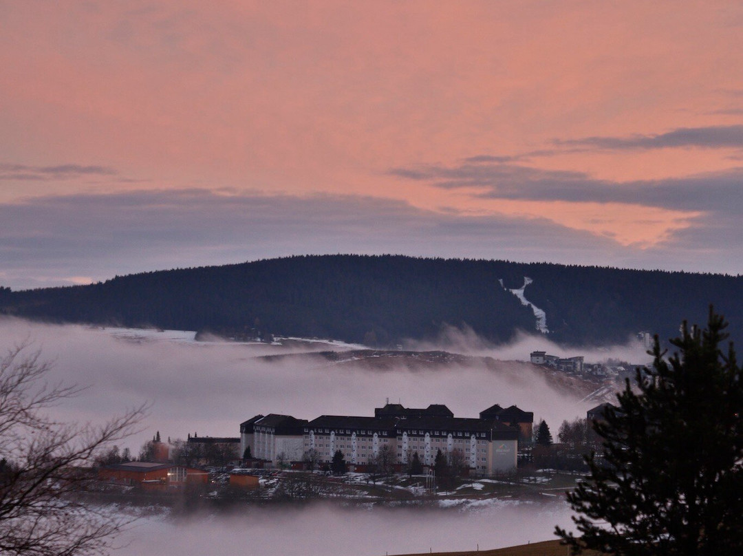 Jens Weissflog Appartementhotel主图