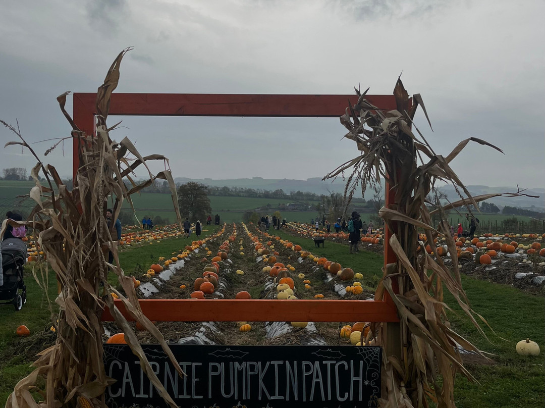 Cairnie Fruit Farm & Mega Maze-库珀必去景点