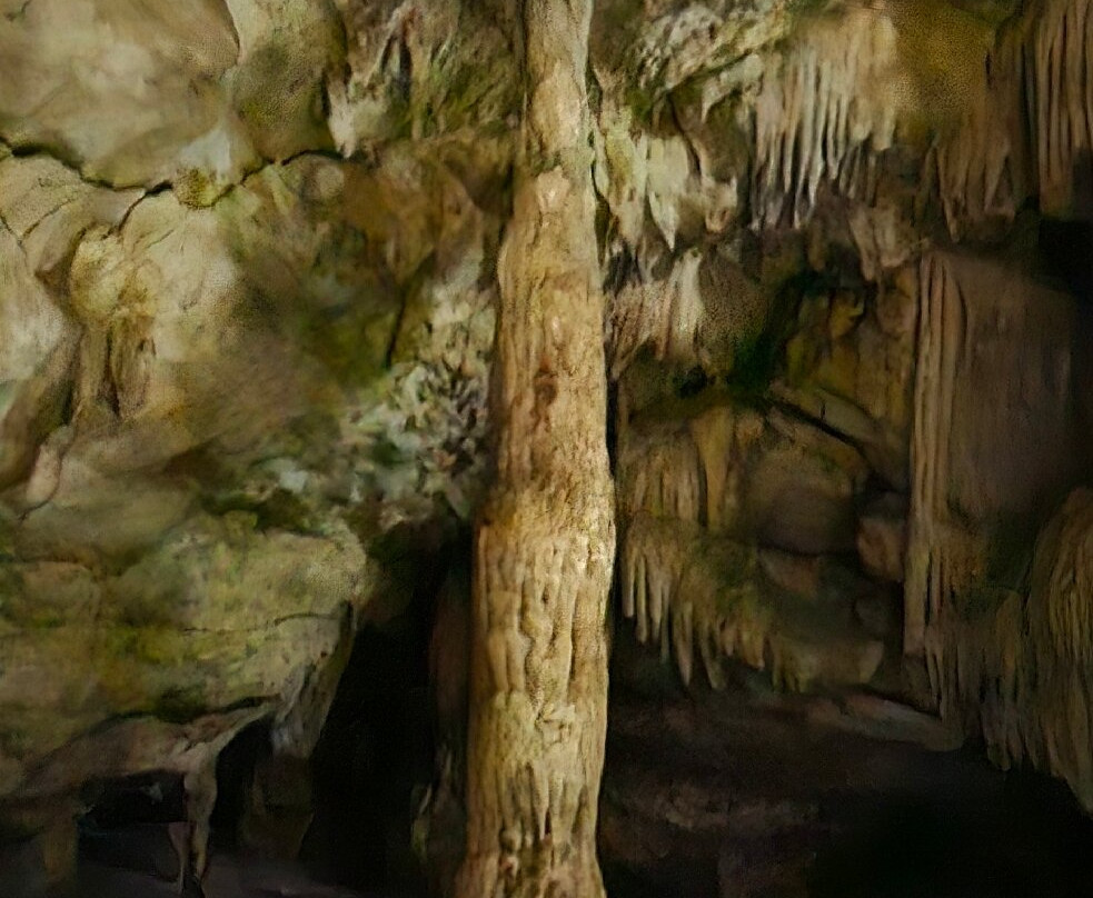 Francois Leguat Reserve-罗德里格斯岛必去景点