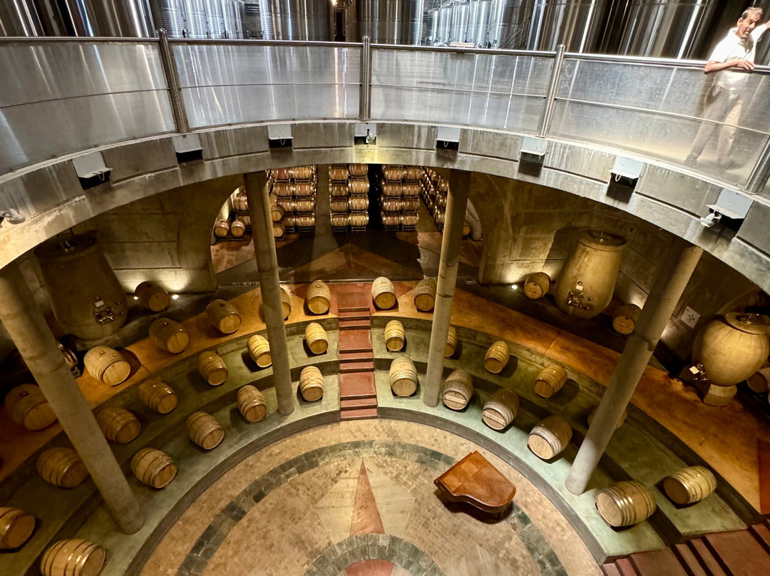 This is Mendoza-门多萨必去景点