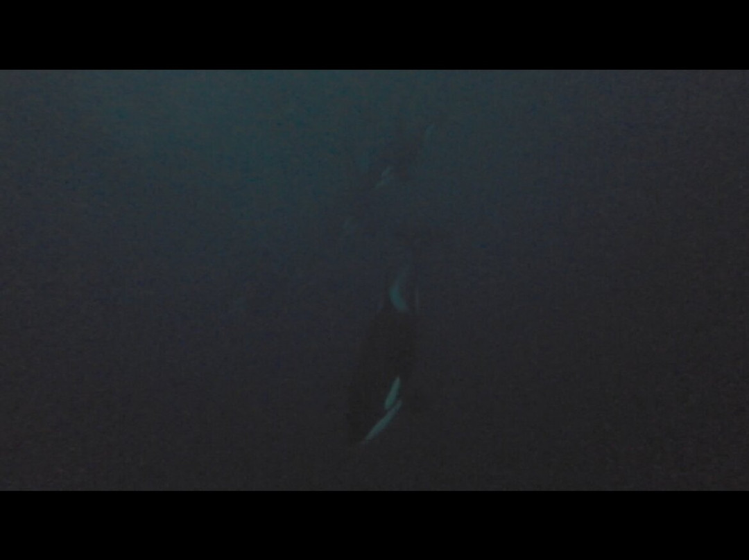 Lofoten Opplevelser-霍宁斯沃格必去景点