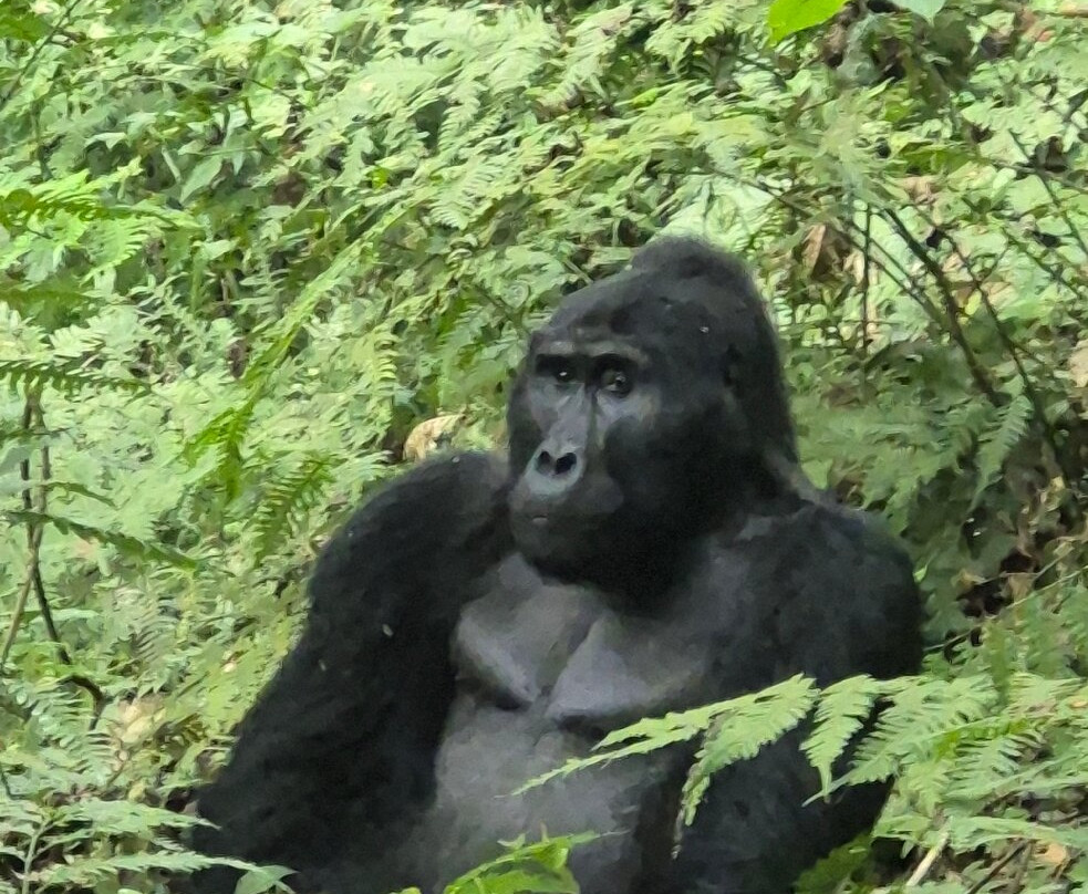 Home to Africa Tours and Travel-坎帕拉必去景点