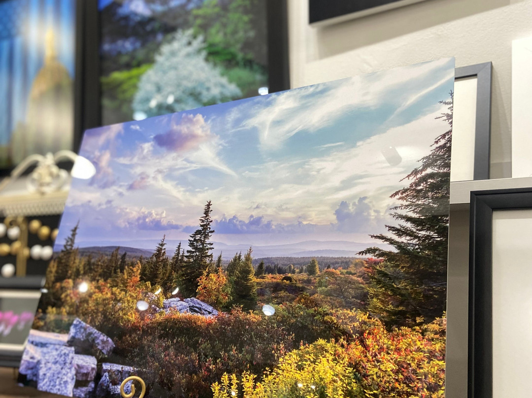 Artists At Work-Elkins必去景点