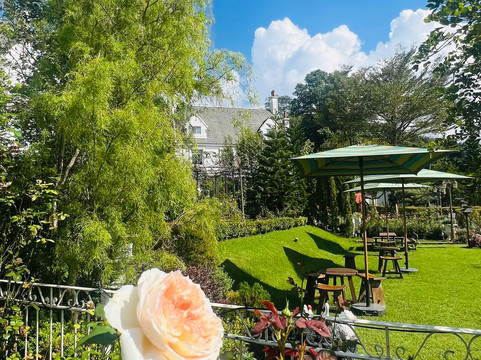 Hillsborough the English Country House主图