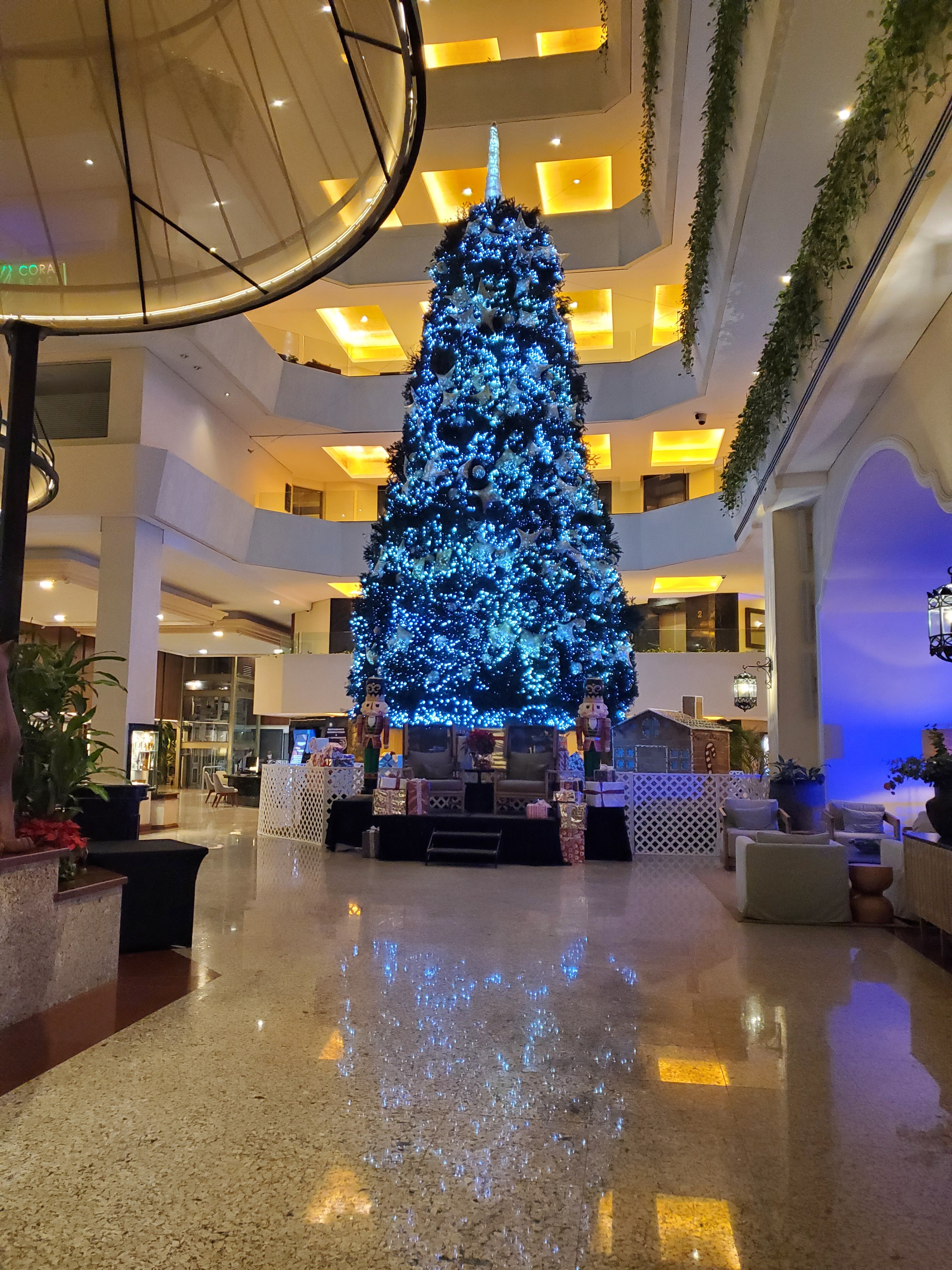 大美洲庆典珊瑚海滩酒店-浴室