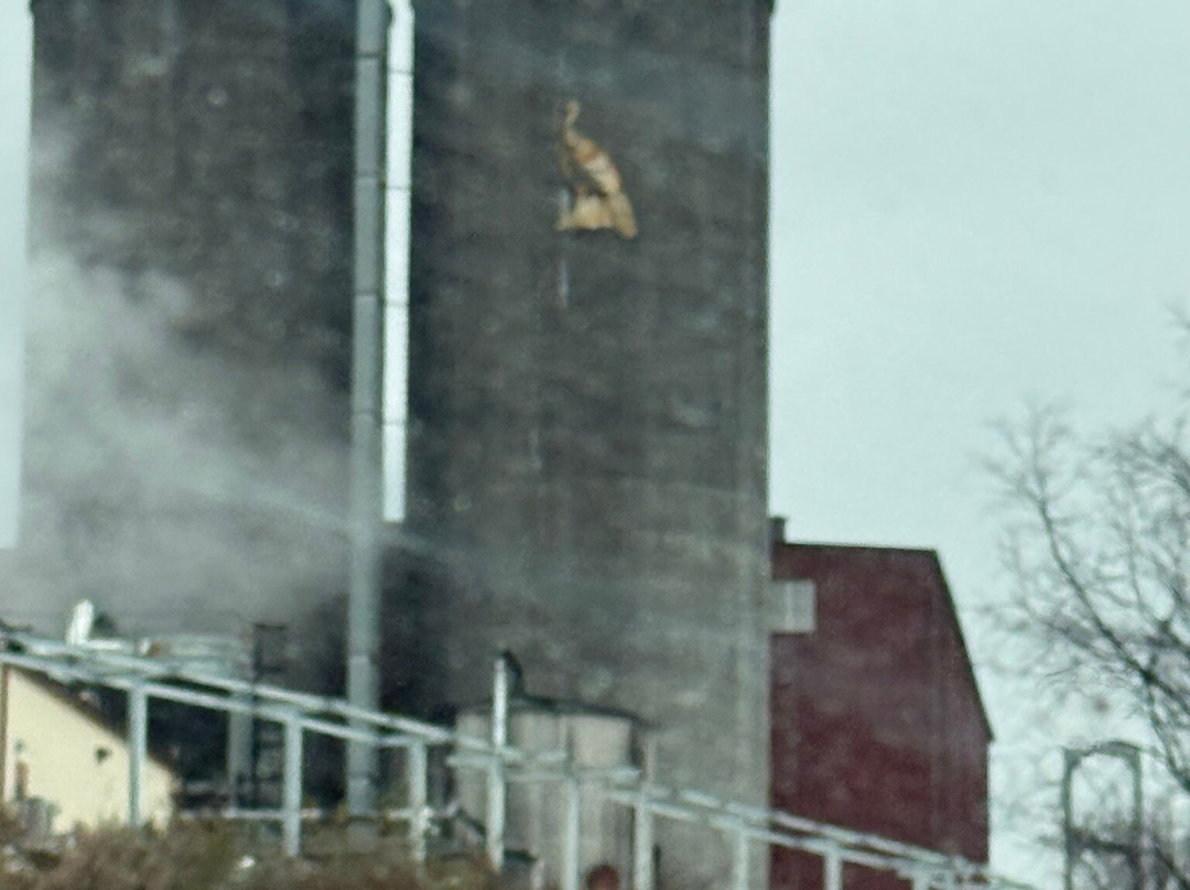 Wild Turkey Distillery-Lawrenceburg必去景点