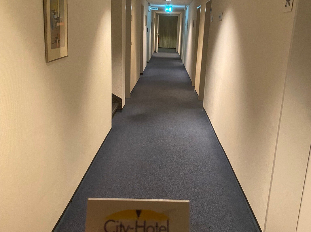 City Hotel Freiburg主图