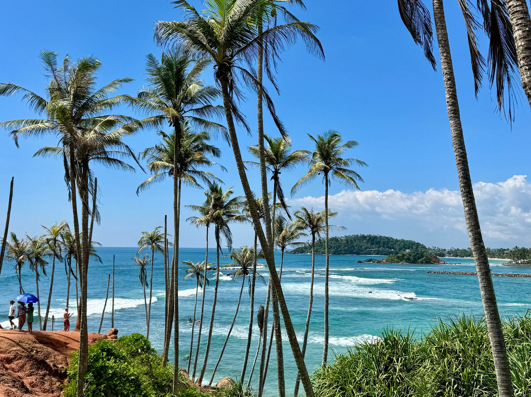 Coconut Tree Hill-美蕊沙必去景点