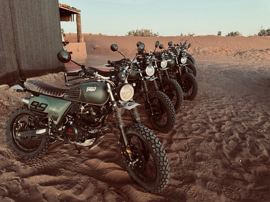 Desert Rats-瓦尔扎扎特必去景点