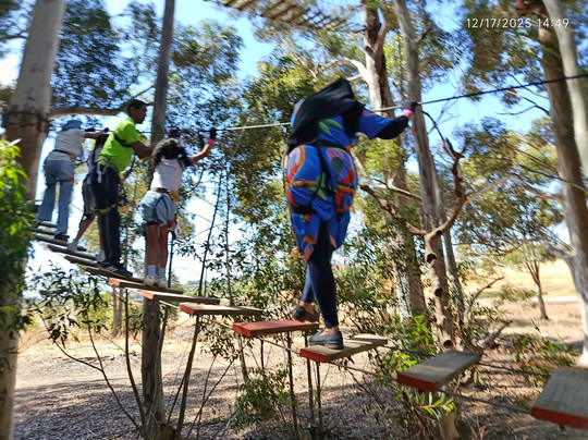 Acrobranch Stellenbosch-斯泰伦博斯必去景点