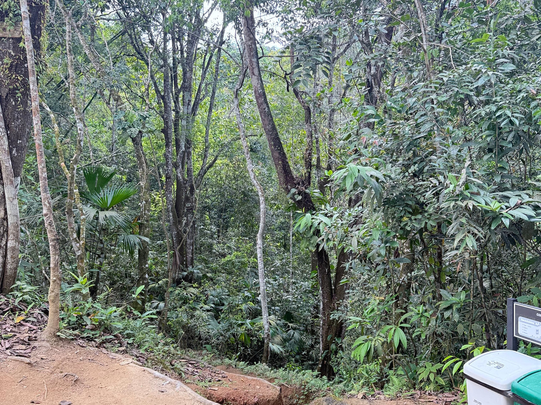 Museo Indigena Ancestral-Minca必去景点