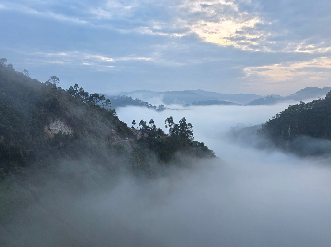 Kigezi Vima Safaris-Kibale National Park必去景点