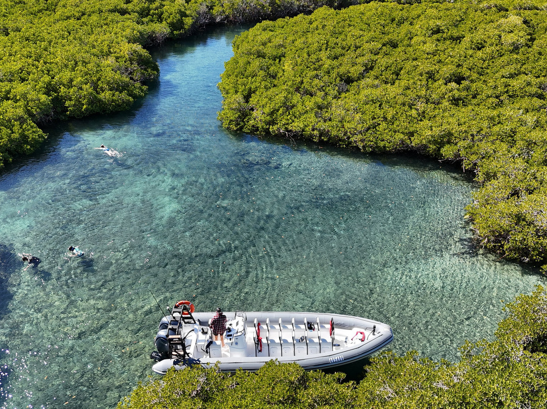 Lethal Adventures-Dampier必去景点