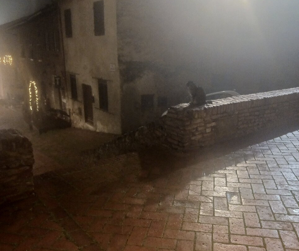 Certaldo-切塔尔多必去景点