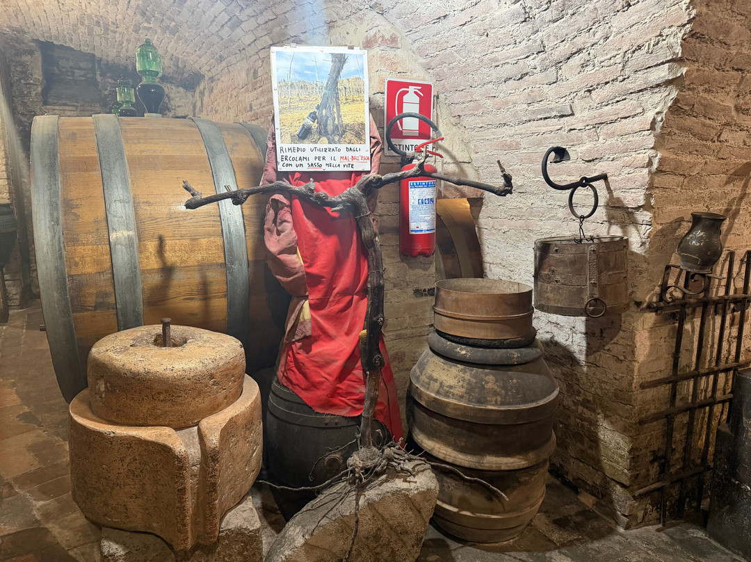 Azienda Agricola Ercolani-蒙特普尔恰诺必去景点