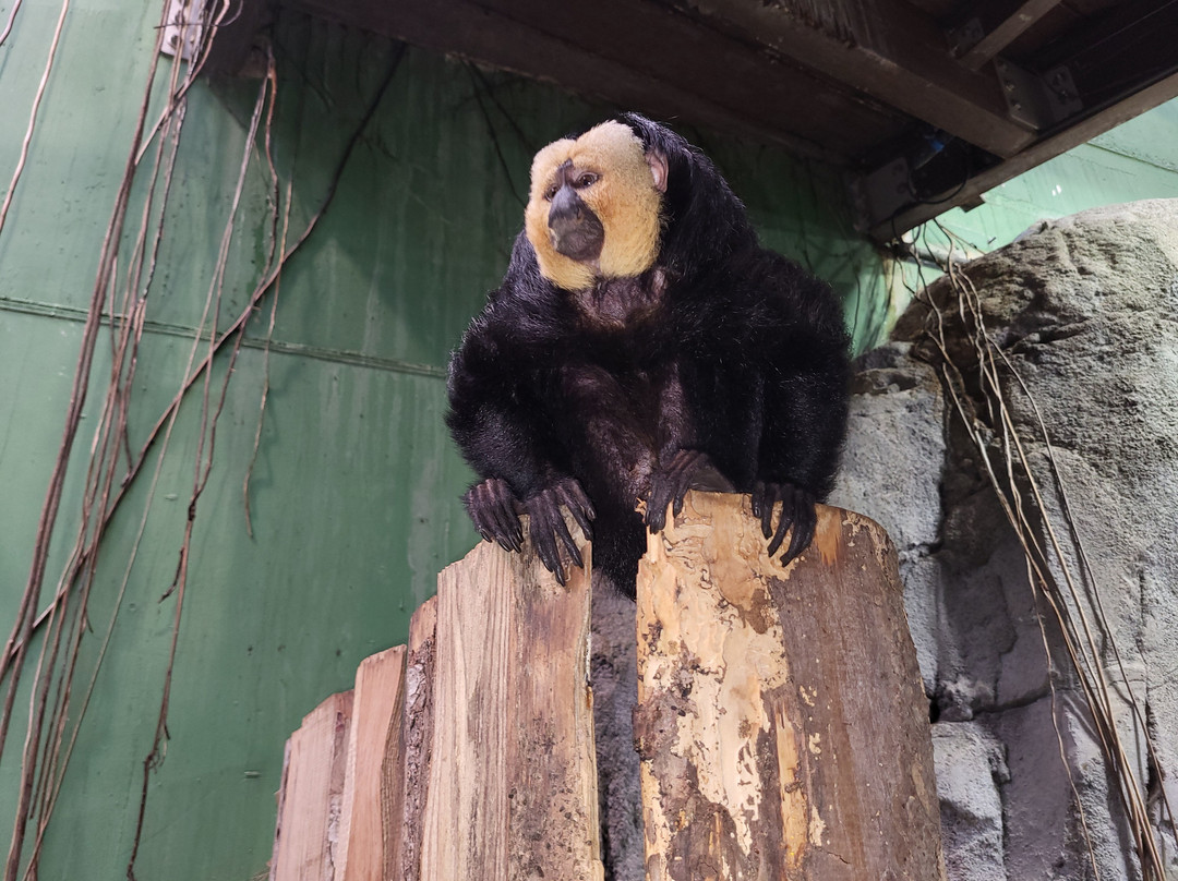 AQUATIS Aquarium Vivarium Lausanne-洛桑必去景点