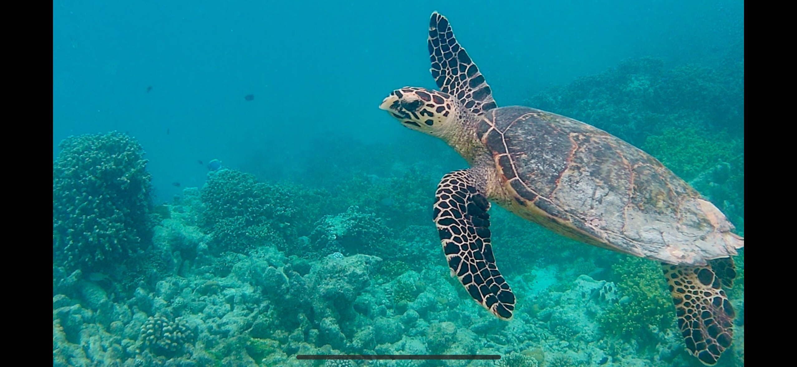 玛昆杜岛度假村-官方