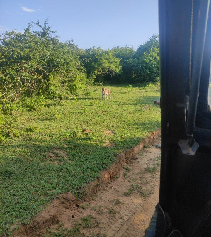 Southern Wild Safari-蒂瑟默哈拉默必去景点