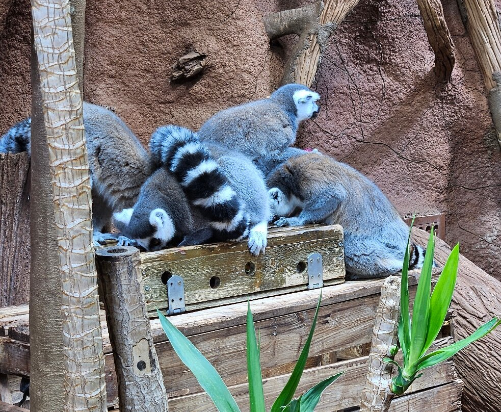 Tropikariet-赫尔辛堡必去景点