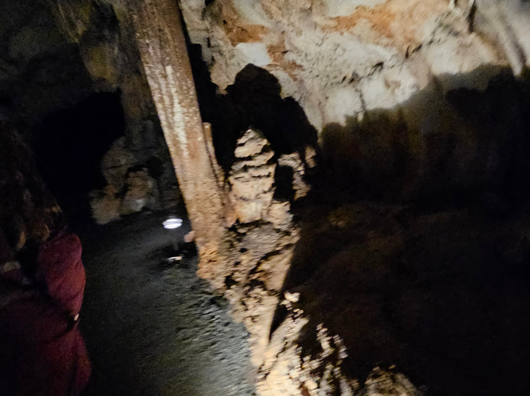 Melrose Caverns-哈里森堡必去景点
