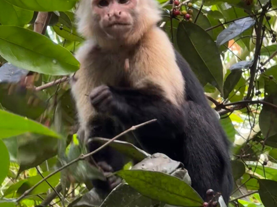 Manuel Tour Guide-卡维塔必去景点