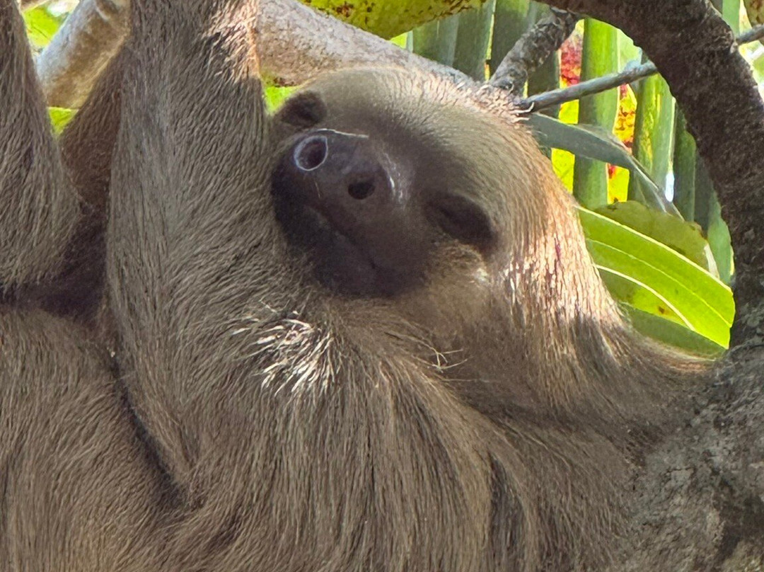 Manuel Tour Guide-卡维塔必去景点