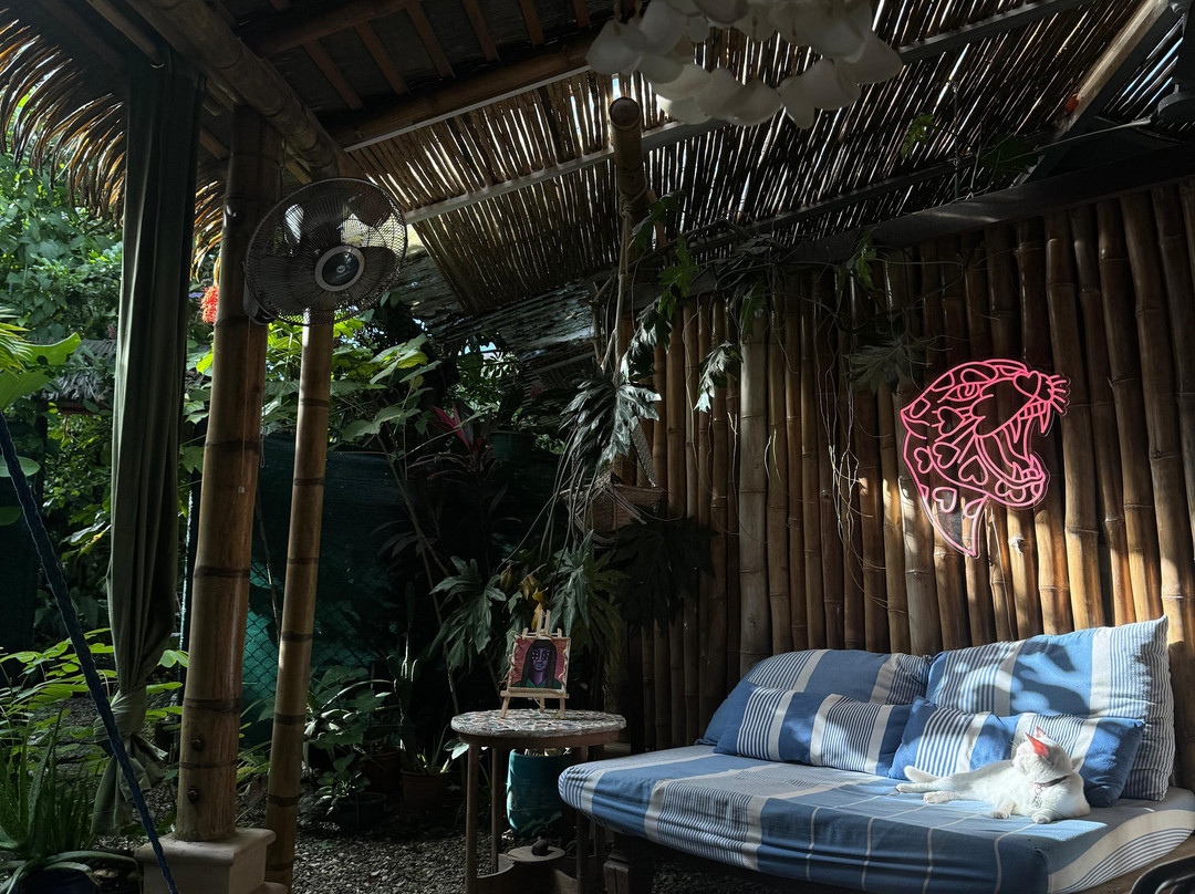 Caribe Love Tattoo-旧港必去景点