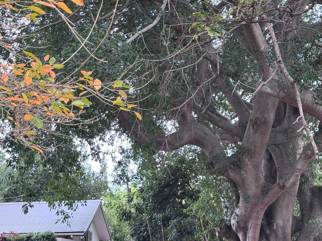 森林厅宾馆主图