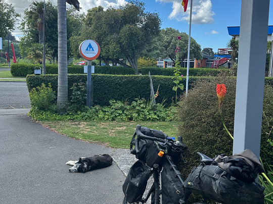 布拉梅尔之家青年旅舍主图