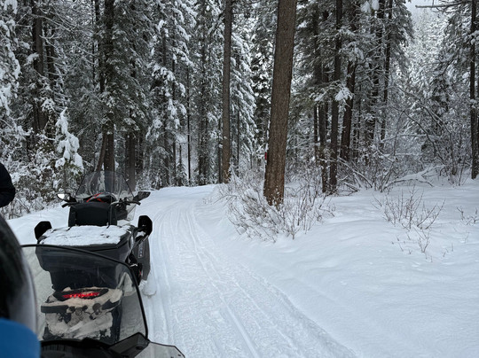 White N’ Wild Snowmobile Tours-戈尔登必去景点