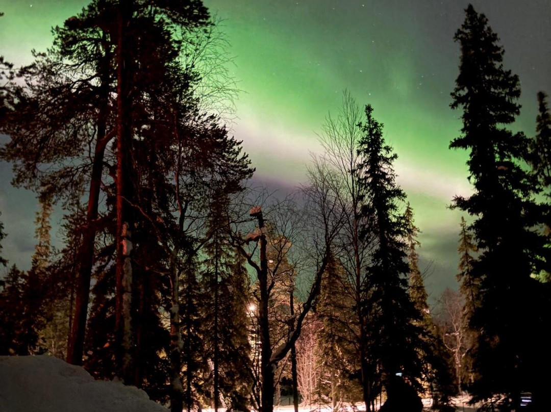 Lapland Safaris Luosto-Luosto必去景点