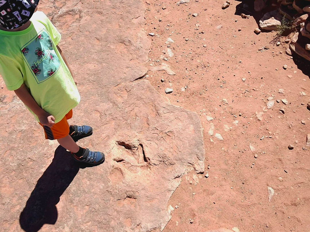 Dinosaur Tracks-蒂巴城必去景点