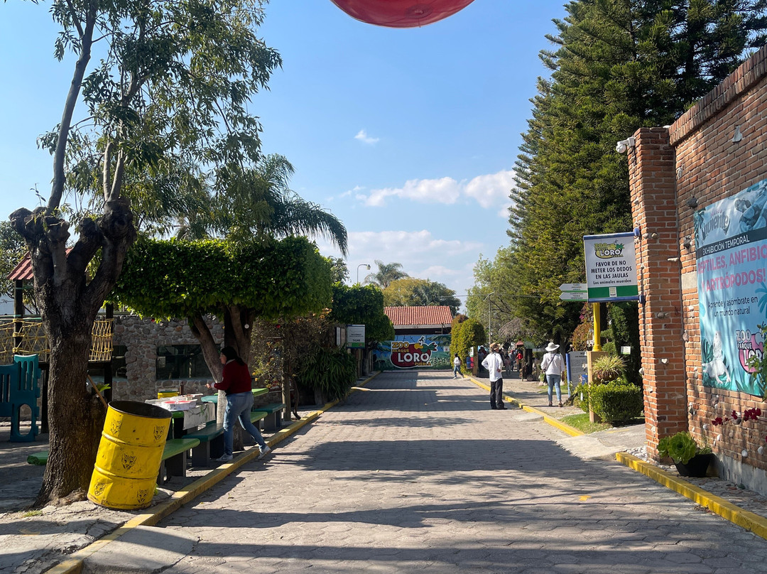 Zoo Parque Loro Puebla-普埃布拉必去景点