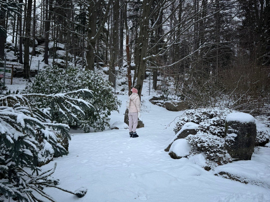Siruwia - Japanese Garden-Przesieka必去景点