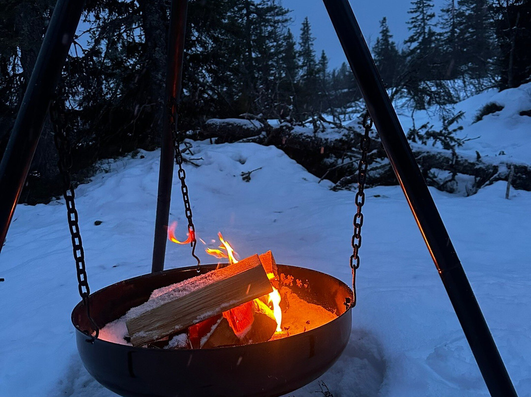 Sigdal Aktiv-Eggedal必去景点