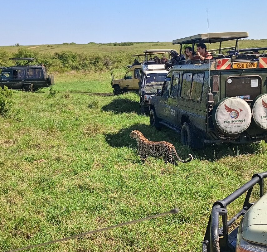 Malnodez Safaris-纳库鲁必去景点