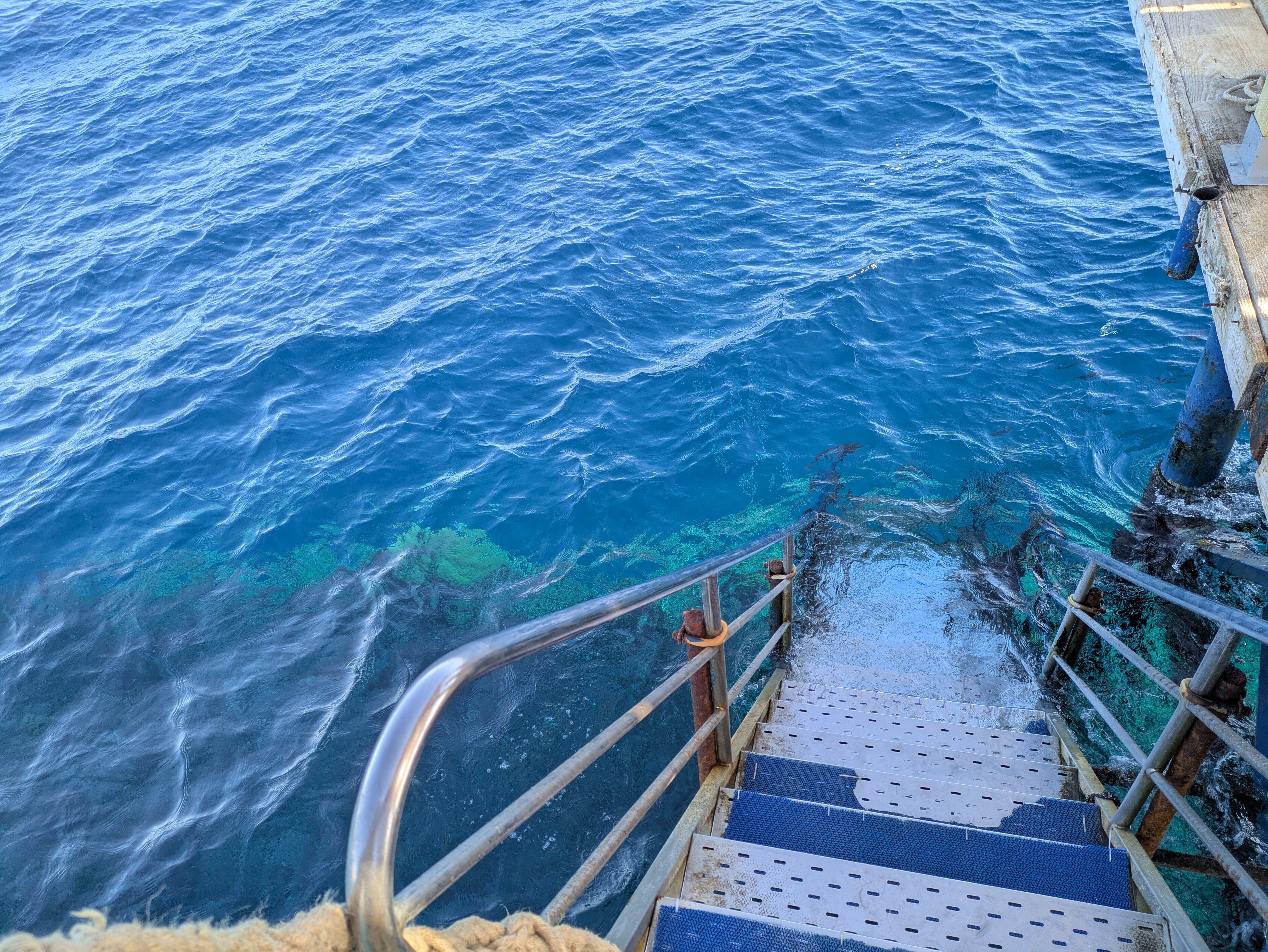 JAZ Neo Reef Marsa-泳池